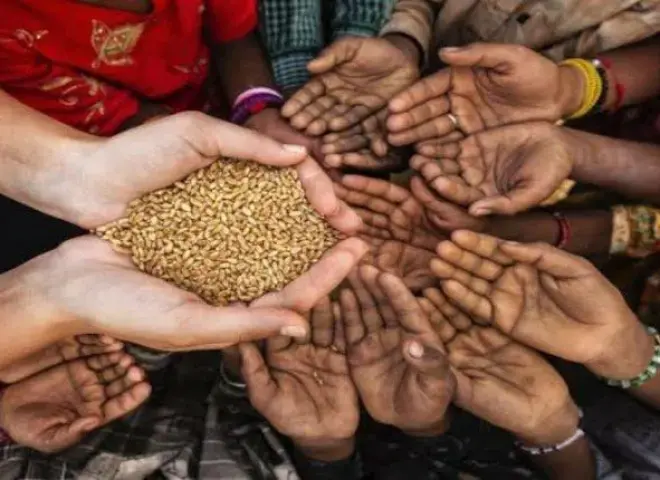 أزمة غذاء عالمية: 70 ألف طن من المساعدات عالقة في البحر وتهديد لـ 45 مليون شخص