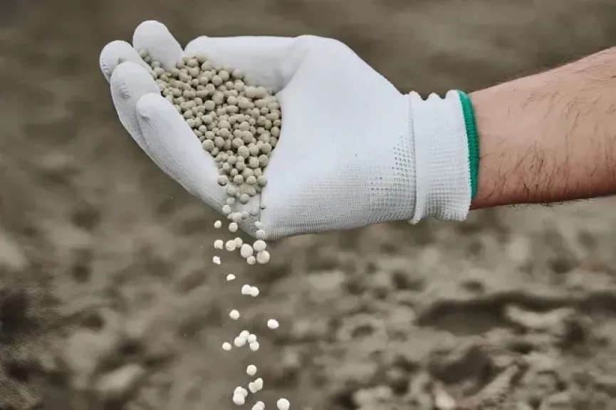 ترامب يدرس تعليق رسوم الأسمدة المغربية والروسية لإنقاذ موسم الزراعة