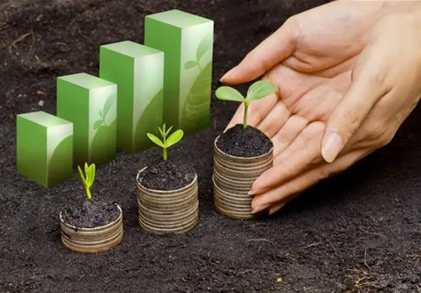 دراسة: استدامة سلاسل التوريد تعزز مرونة المزارعين ضد الصدمات