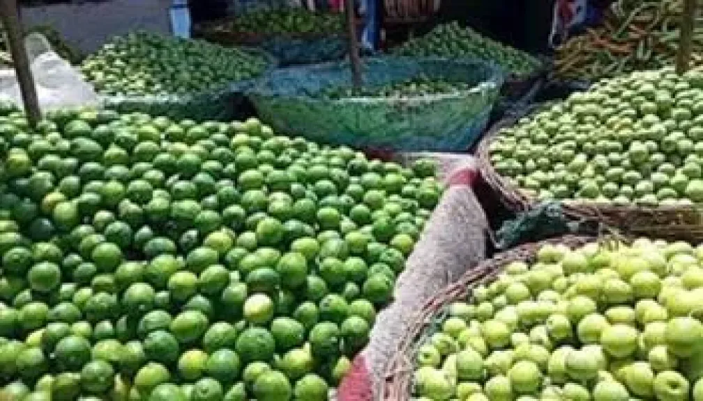 تعرف على أسباب ارتفاع أسعار الليمون