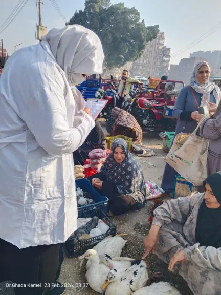 «الزراعة»: فحص 555 ألف طائر و180 ألف رأس ماشية خلال فبراير