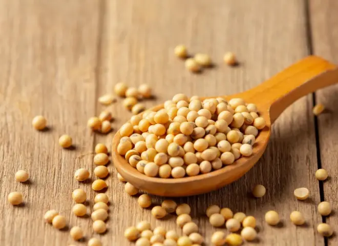 مصر ترفع واردات فول الصويا إلى 5.2 مليون طن لدعم قطاع الدواجن والأسماك