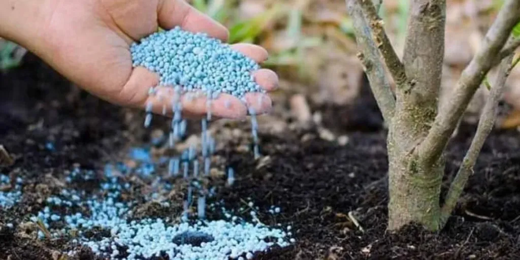 تزايد صادرات الأسمدة المصرية مع موجة ارتفاع أسعار الغاز العالمي