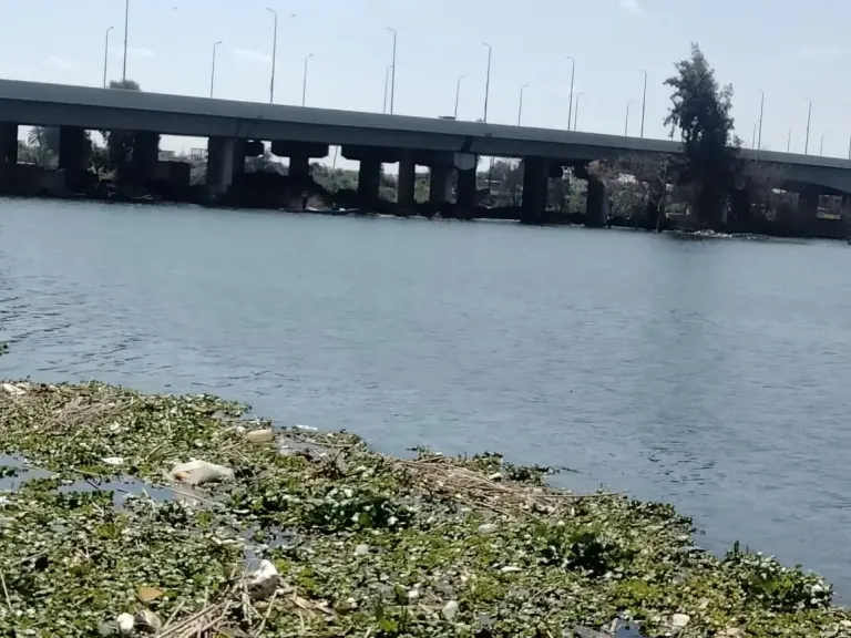 ارتفاع منسوب فرع النيل يغمر 1000 فدان بأشمون