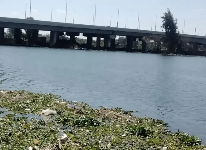 ارتفاع منسوب فرع النيل يغمر 1000 فدان بأشمون