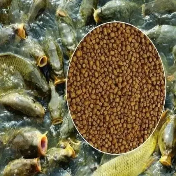 أسعار أعلاف الأسماك تقفز 3000 جنيه وتربك السوق