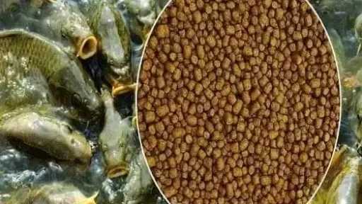 أسعار أعلاف الأسماك تقفز 3000 جنيه وتربك السوق