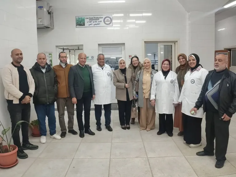 مصر تنجح في تفريخ أسماك البوري صناعياً لأول مرة بنطاق إنتاجي