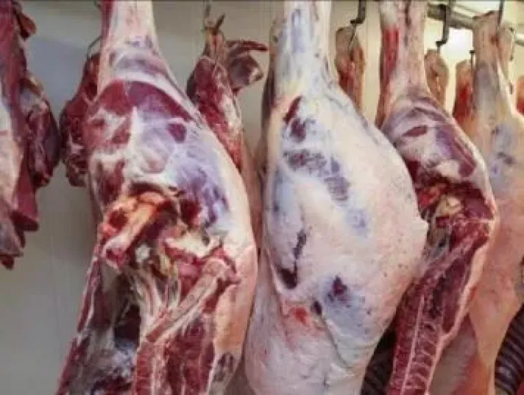 الزراعة تناشد المواطنين بالإبلاغ عن اللحوم غير الصالحة