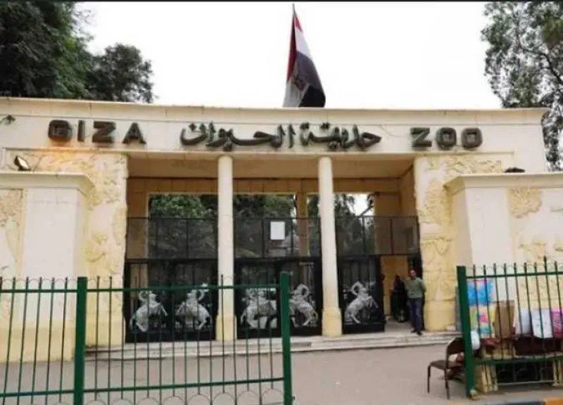 الزراعة تعلن موعد افتتاح حديقة حيوان الجيزة