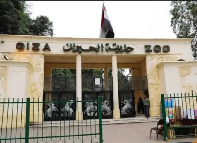 الزراعة تعلن موعد افتتاح حديقة حيوان الجيزة