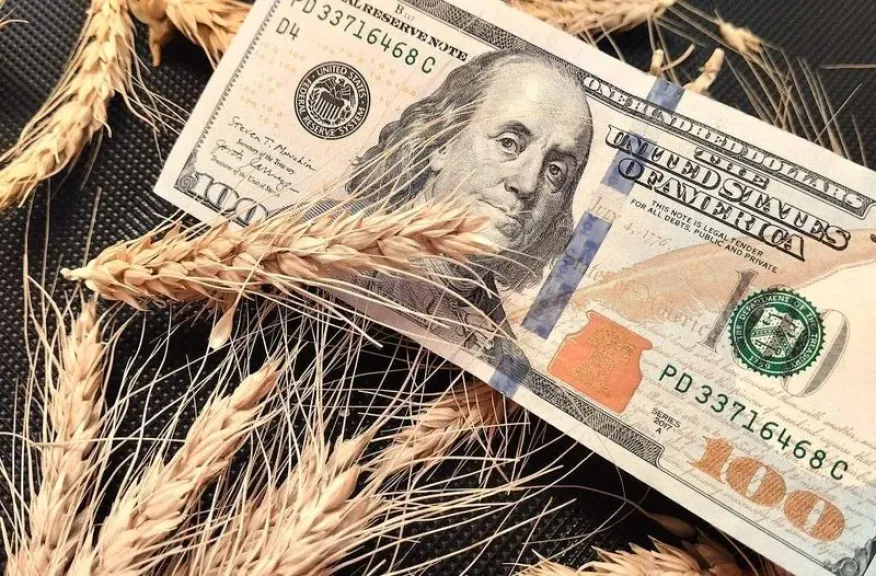 أسعار الحبوب الأوكرانية.. المحصول الجديد يتساوى مع القديم بفعل تكاليف الحرب