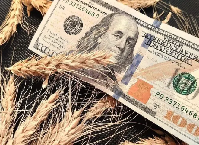 أسعار الحبوب الأوكرانية.. المحصول الجديد يتساوى مع القديم بفعل تكاليف الحرب