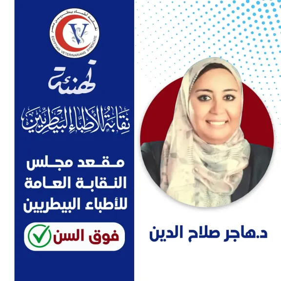 د. مجدي حسن يعلن أسماء الفائزين الجدد