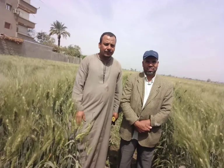 زراعة سوهاج تعتمد غرفة الأزمات لمواجهة الطقس المتقلب