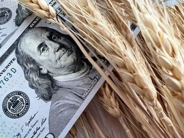 الجفاف وحرب إيران يرفعان العقود الآجلة لأسعار القمح الأمريكى