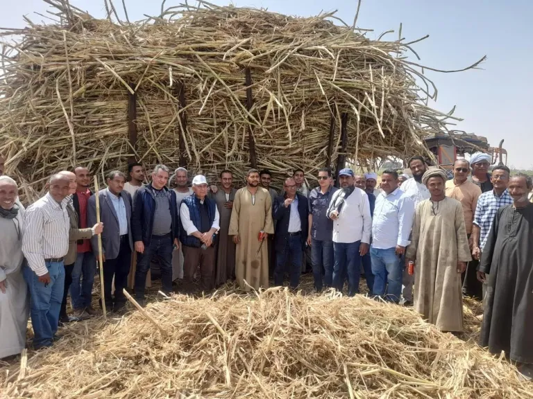 الزراعة تتابع برامج إكثار التقاوي في الأقصر..