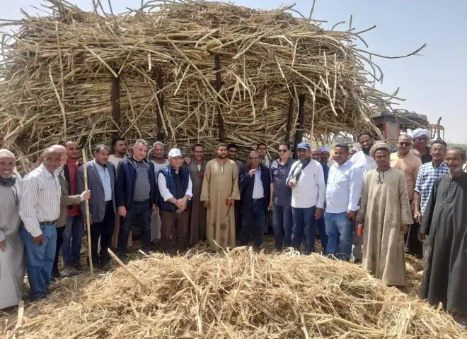 الزراعة تتابع برامج إكثار التقاوي في الأقصر..