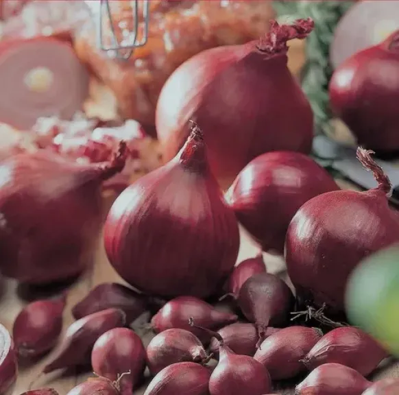 قفزة قياسية لواردات المغرب من البصل الهولندي