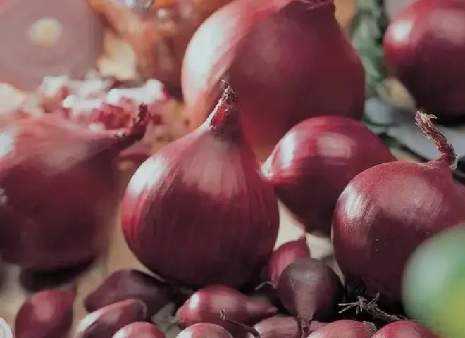 قفزة قياسية لواردات المغرب من البصل الهولندي