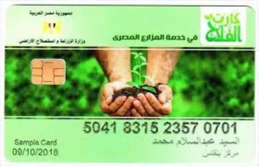 زراعة بني سويف: اعتماد 278 ألف استمارة ضمن كارت الفلاح