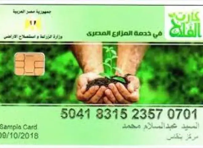 زراعة بني سويف: اعتماد 278 ألف استمارة ضمن كارت الفلاح