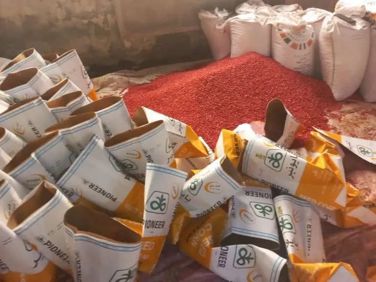 ضبط مركز لتعبئة وغش تقاوي ”الذرة الشامية” بمحافظة الشرقية