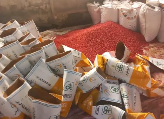 ضبط مركز لتعبئة وغش تقاوي ”الذرة الشامية” بمحافظة الشرقية