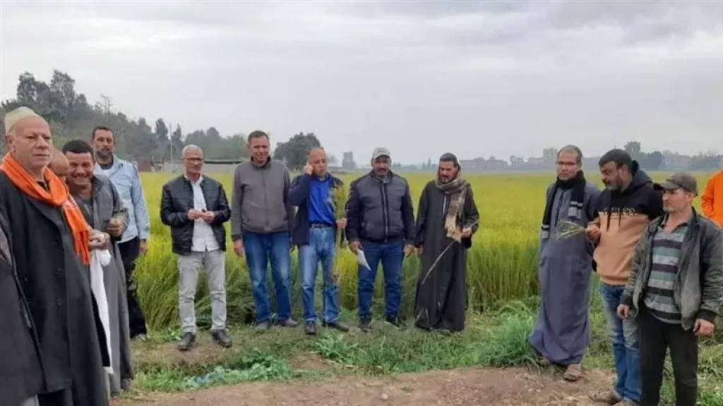 وكيل الزراعة بالغربية يكشف قفزة إنتاج الكتان