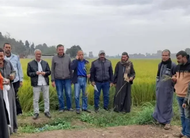 وكيل الزراعة بالغربية يكشف قفزة إنتاج الكتان