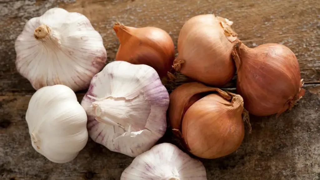 وزير الزراعة يعلن فتح أسواق االأوروجواي أمام البصل والثوم المصري