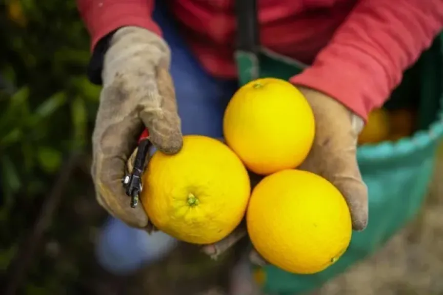 موالح جنوب أفريقيا تحت الضغط بسبب مخاطر نقص الديزل