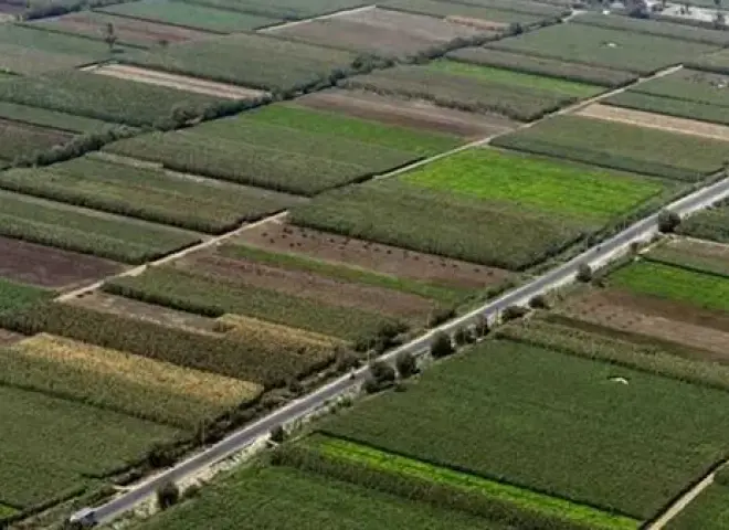 شركة الريف المصري تحذر من شراء الأراضي عبر وسطاء