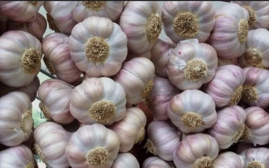 أفضل طرق التخزين للحافظ على جودته طوال العام