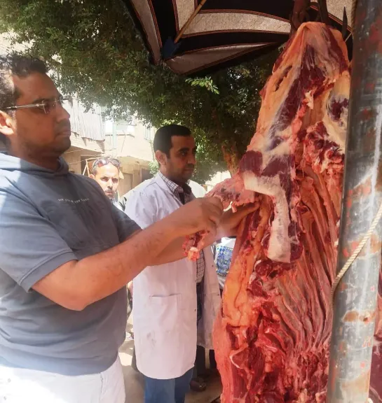 ضبط 200 كيلوجرام من اللحوم الفاسدة في سوهاج