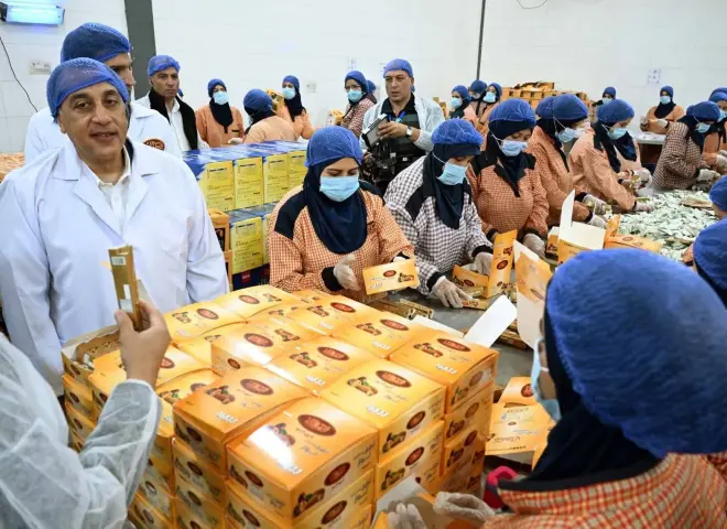 رئيس الوزراء: قطاع التمور في مصر ركيزة للتنمية وزيادة الصادرات