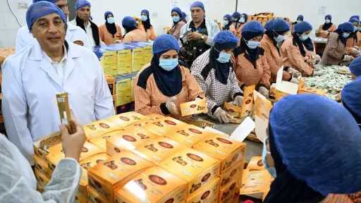 رئيس الوزراء: قطاع التمور في مصر ركيزة للتنمية وزيادة الصادرات