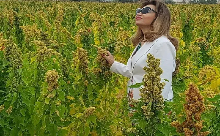 خبيرة زراعات بديلة تحذر من  الزراعة التقليدية ..”وهمية وذات ديون بيئية”