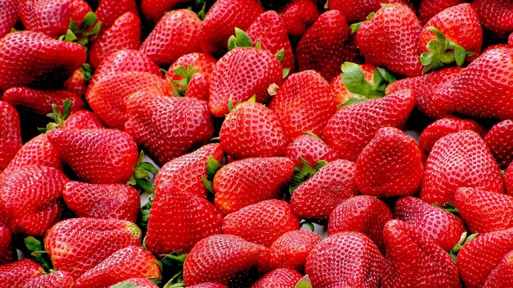 الفراولة المصرية.. حقيقة الشائعات وأسرار وفرة الإنتاج في السوق المحلي