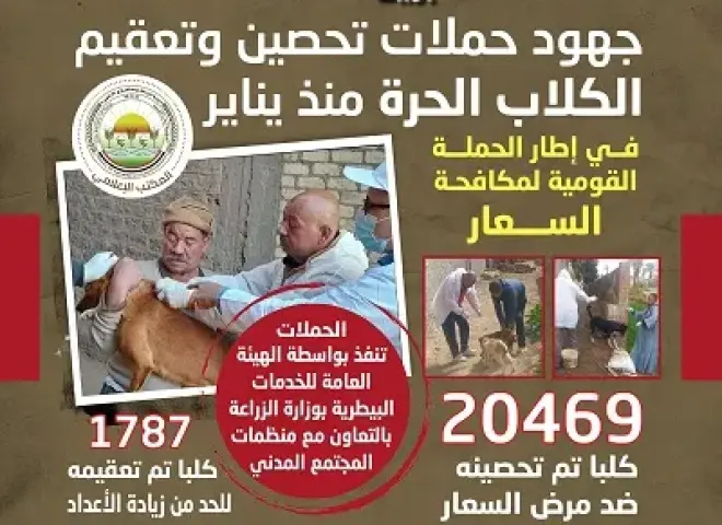 الزراعة تواصل مكافحة انتشار مرض السعار