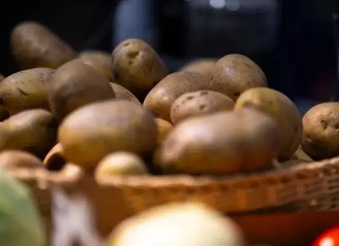 تحذيرات من ارتفاع أسعار الغذاء عالميًا بسبب اضطرابات الشحن وزيادة تكاليف الزراعة