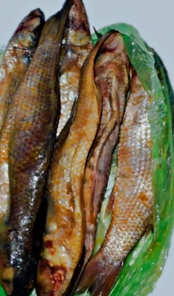 الفسيخ على المائدة.. كيف تستمتع به بطريقة صحية وآمنة؟