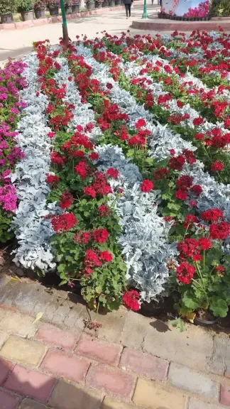 عاجل.. وزير الزراعة يحدد 16 أبريل موعدًا لافتتاح معرض زهور الربيع الـ96