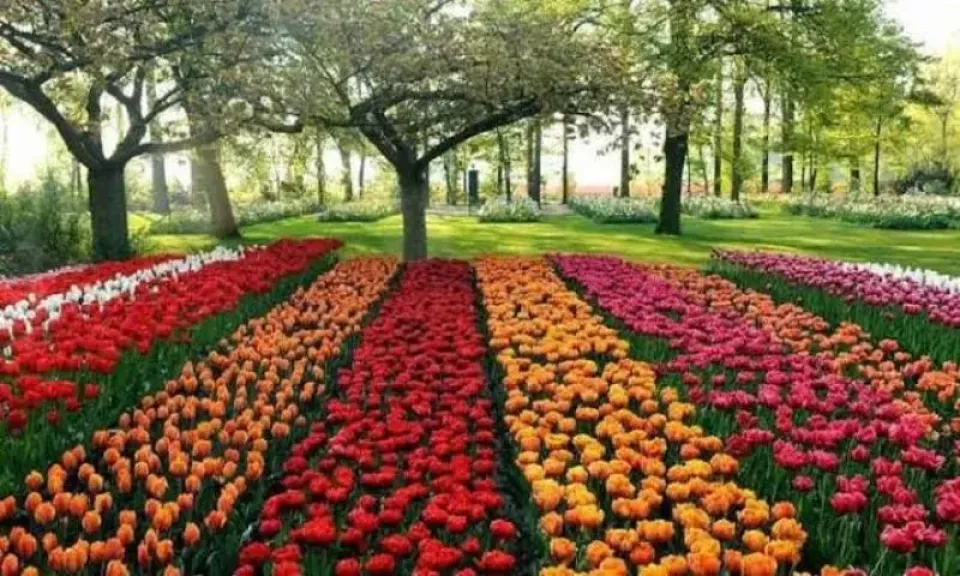 عاجل.. وزير الزراعة يحدد 16 أبريل موعدًا لافتتاح معرض زهور الربيع الـ96