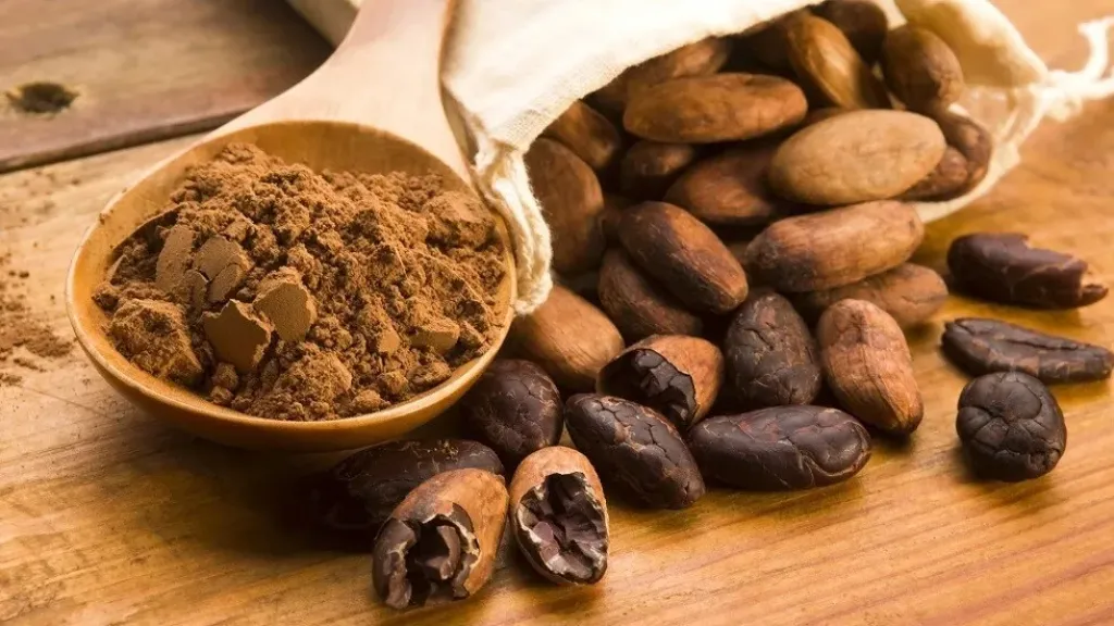 باحثون: زراعة «الكاكاو» في خلايا نباتية قد يكون حلاً لغلاء «الشيكولاتة»