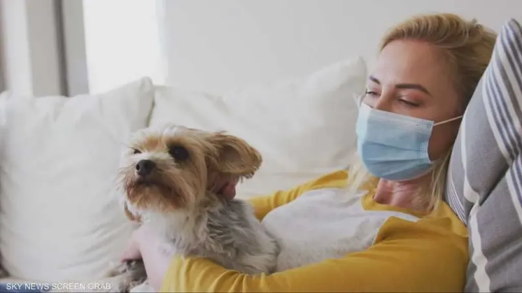 الأمراض المشتركة بين الإنسان والحيوان.. المخاطر وطرق الوقاية