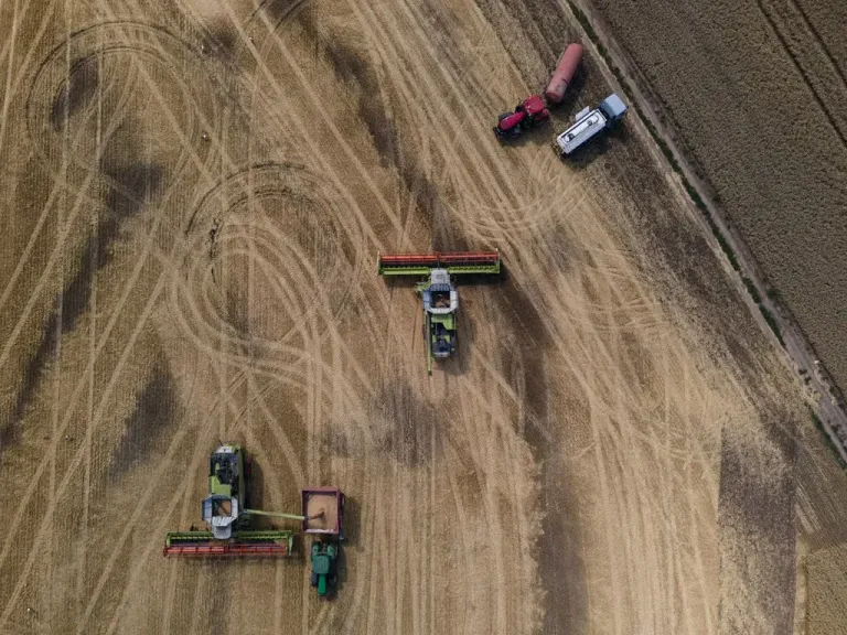 زيلينسكي: مصر ترفض استيراد الحبوب من الأراضي الأوكرانية المحتلة