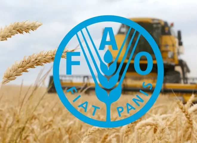 فاو: توقعات إيجابية لحصاد الحبوب عالميا وسط حالة من الشك
