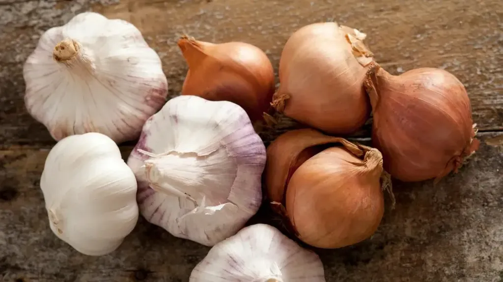أوروجواي تفتح أسواقها لصادرات البصل والثوم المصري