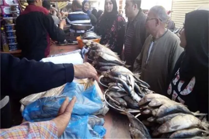 الزراعة: حملات لضبط الأسواق وتحذير من الأسماك المجهولة